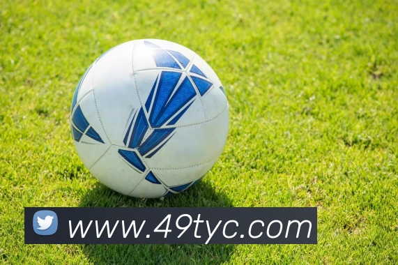 太阳城官网平台生态图